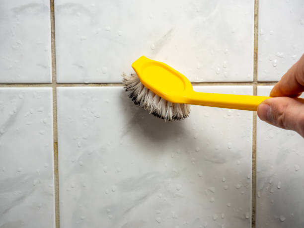 Best Toxic Mold Removal  in Exton, PA