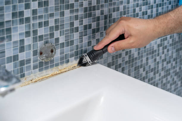Best Mold Removal Process  in Exton, PA